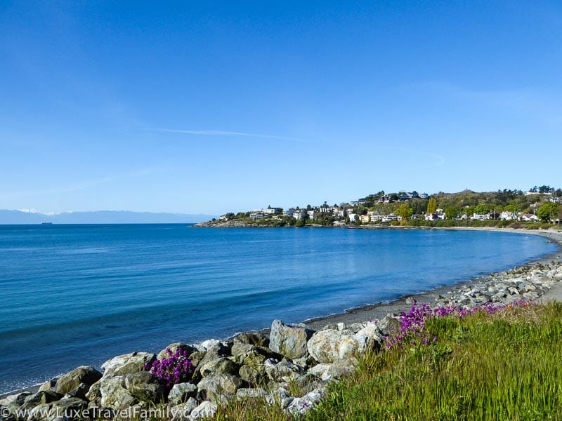 McNeil Bay beach, boulders for climbing on and wild flowers