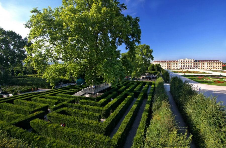Schonbrunn Palace garden maze