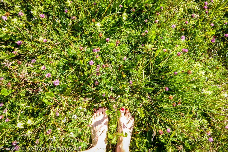Standing in an alpine pasture Alpe de Siusi