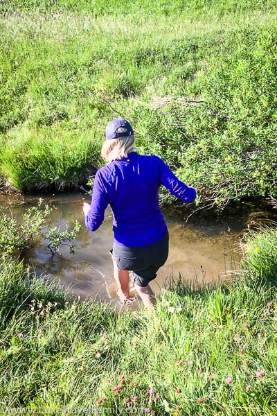 Adler Mountain Lodge alpine stream walk