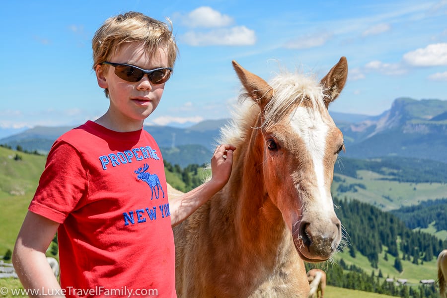 A boy and horse in the Dolomites.