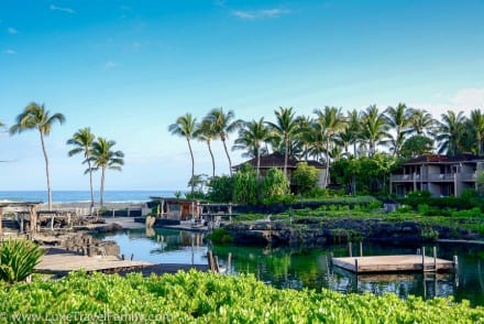 King's Pond Hualalai top travel experiences in 2015