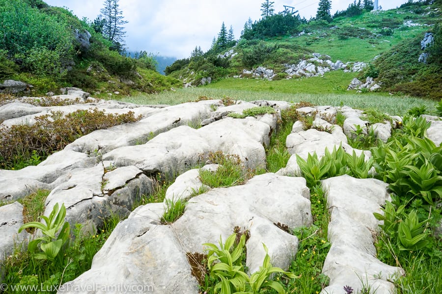 Limestone karst the Culinary hike in Bregenzerwald
