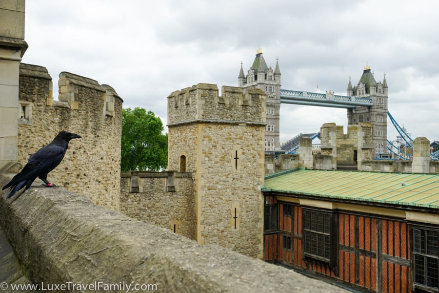 Raven Tower Bridge Context Travel Tower of London