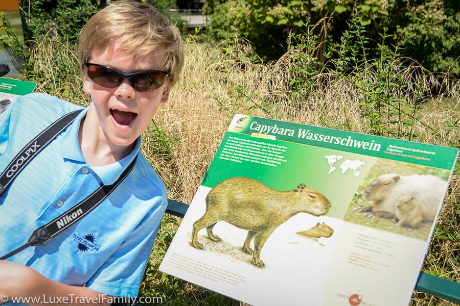 Vienna-family-friendly-European-cities