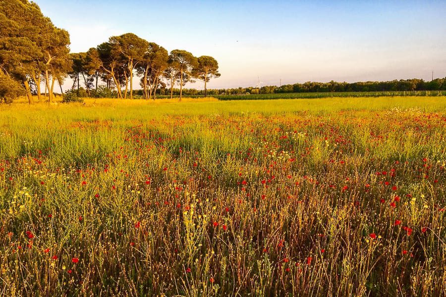 Amberlair puglia world's first crowdsourced boutique hotel
