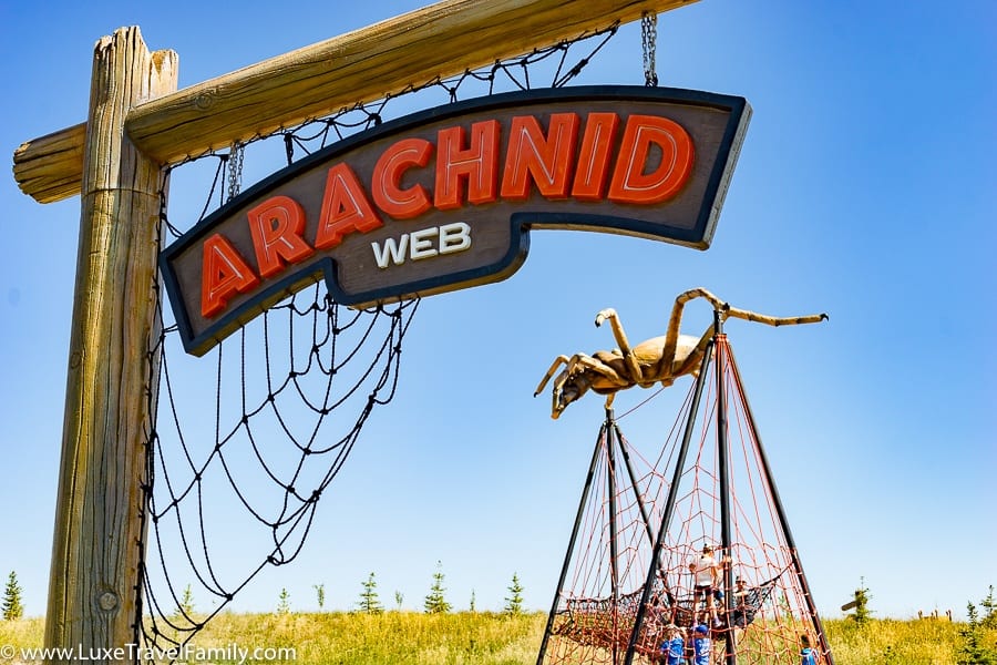 Arachnid Family visit family-visit-to-Granary-Road-and-Loft-Kitchen