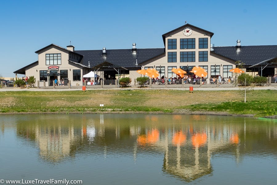 family-visit-to-Granary-Road-and-Loft-Kitchen