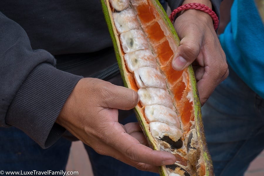 inside guaba fruit quito with kids
