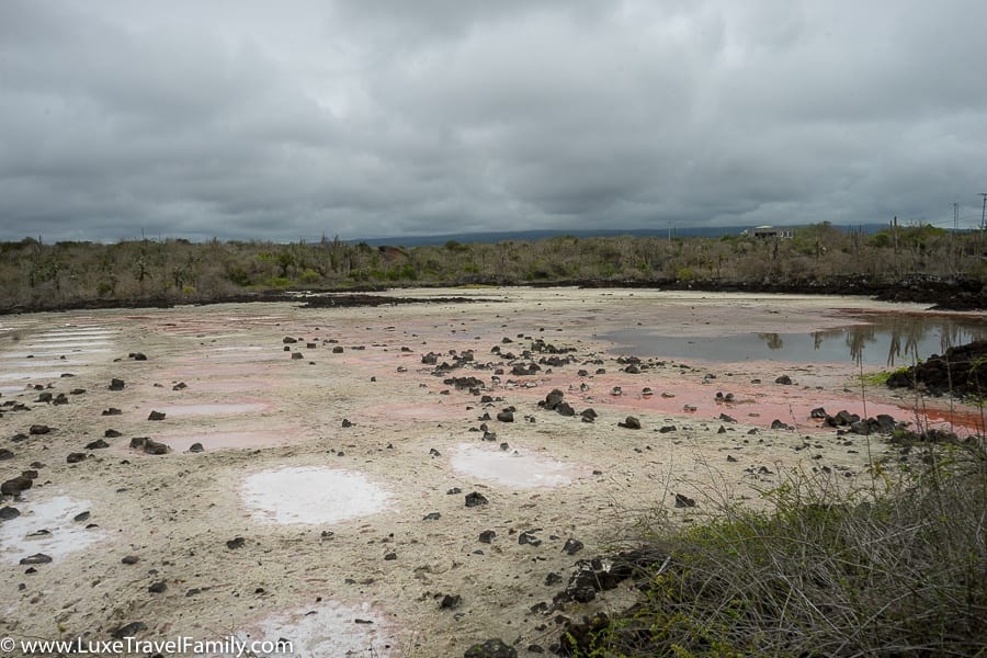 Las Salinas DIY luxury land-based Galapagos Islands guide