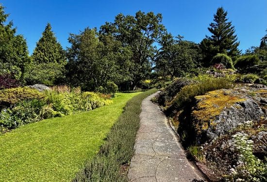 Stone path between moss covered rock and green plants Abkhazi Garden